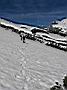 01_Kanzberg_Aufstieg_im_Schnee.jpg